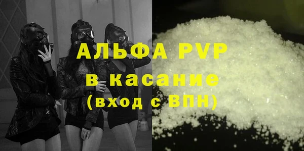 прущие грибы Вяземский