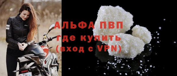 прущие грибы Вяземский