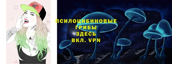 дурь Вязьма