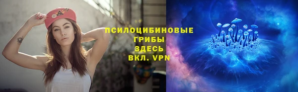 прущие грибы Вяземский