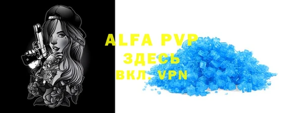 прущие грибы Вяземский