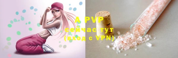прущие грибы Вяземский