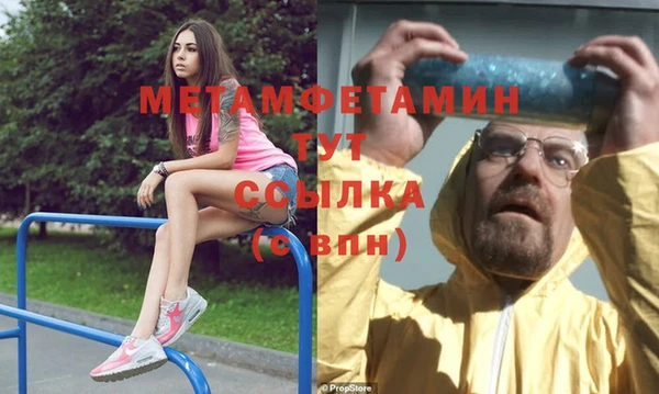 прущие грибы Вяземский