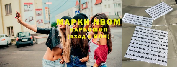 прущие грибы Вяземский