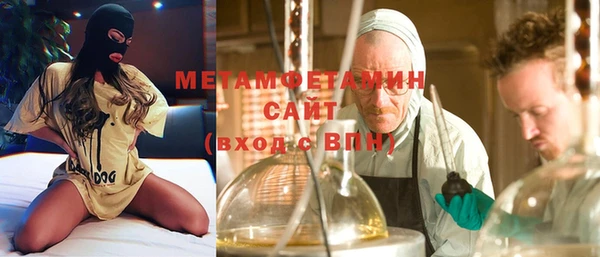 прущие грибы Вяземский
