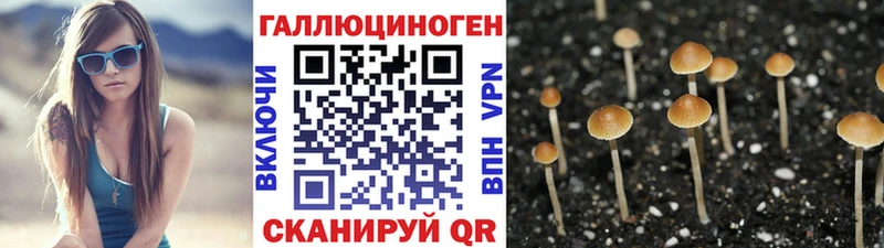 Галлюциногенные грибы Psilocybine cubensis  Рязань 